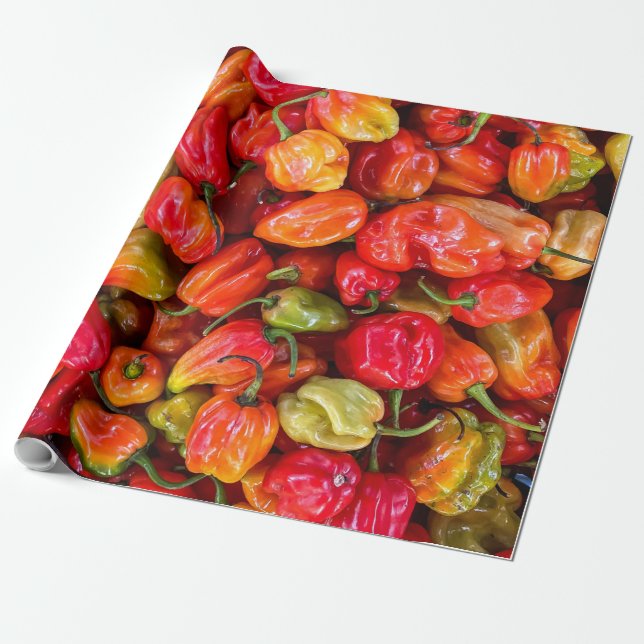Pretty Food Wrapping Paper (Unrolled)