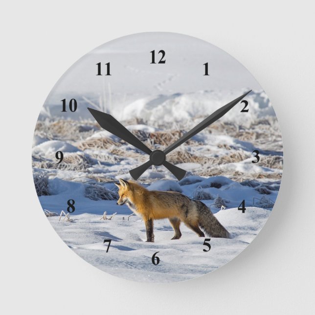 Pretty Fox Snow Photo Round Clock (Front)
