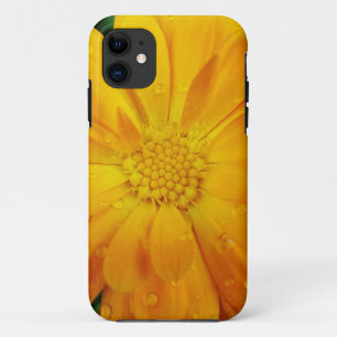 pretty, fresh yellow daisy flower Case-Mate iPhone case