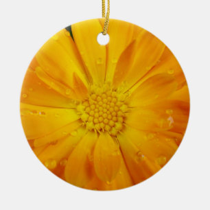 pretty, fresh yellow daisy flower holiday ornament