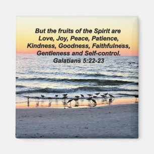 PRETTY FRUITS OF THE SPIRIT GALATIANS 5 MAGNET