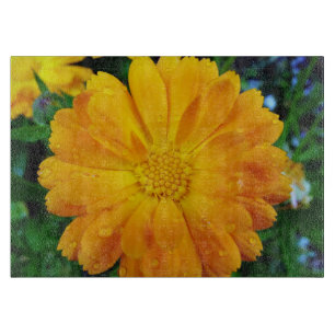 pretty full bloom summer yellow daisy flower. cutting board