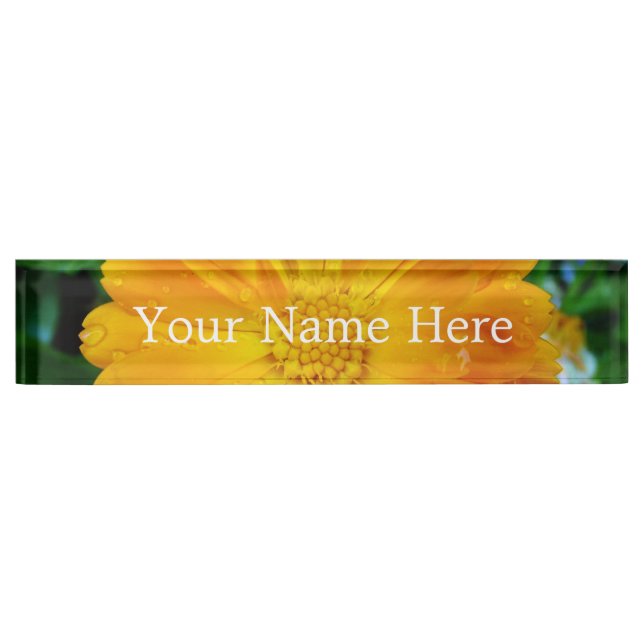 pretty full bloom summer yellow daisy flower. nameplate (Front)