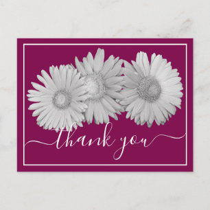 Pretty Gerbera Daisies Botanical Colorful Floral Postcard