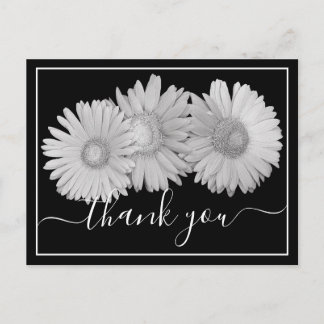 Pretty Gerbera Daisies Botanical Colorful Floral Postcard