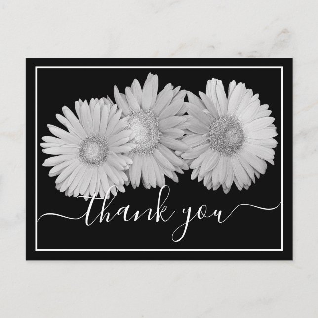 Pretty Gerbera Daisies Botanical Colorful Floral Postcard (Front)