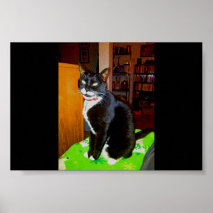 Pretty Girl Lucy Poster