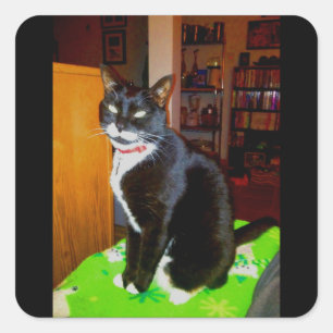 Pretty Girl Lucy Square Sticker