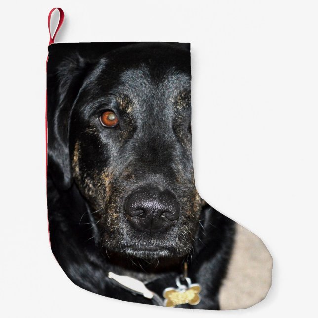 Pretty Girl Splash Small Christmas Stocking (Front)