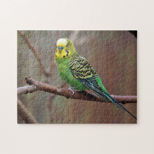 Pretty Green Parakeet Photo Jigsaw Puzzle (Horizontal)