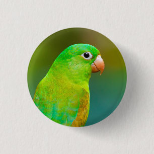 Pretty Green Parrot Photo 3 Cm Round Badge