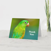 Pretty Green Parrot Photo