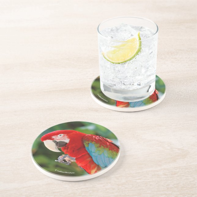 Pretty Green-Winged Macaw Parrot Bird Coaster (Side)