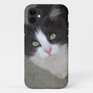 Pretty grey and white cat Case-Mate iPhone case