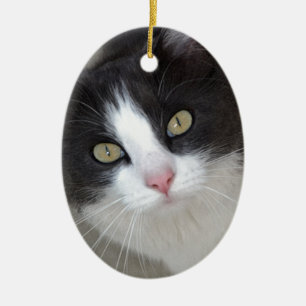 Pretty grey and white cat ceramic tree decoration