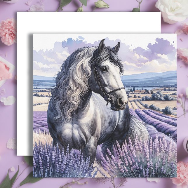Pretty Grey Horse Standing in Lavender (Creator Uploaded)