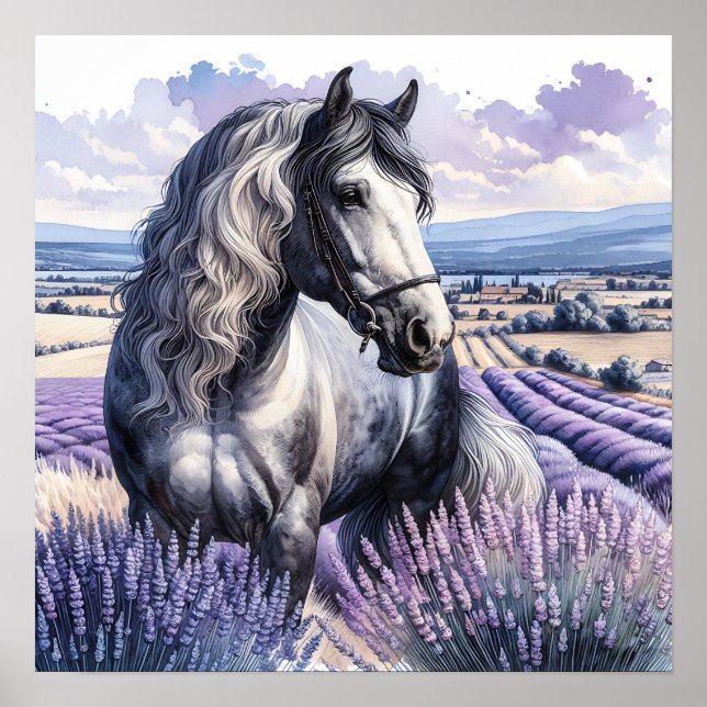 Pretty Grey Horse Standing in Lavender Poster (Front)