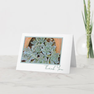 Pretty Hen & Chicks Any Occasion Script 5 x 7  Thank You Card