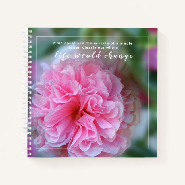 Pretty Hollyhock Pink Flowers With Quote Notebook (Front)