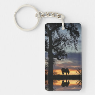 Pretty Horse and Water Key Ring