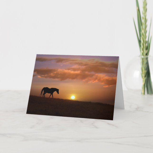 Pretty Horse Blank Note Cards (Front)