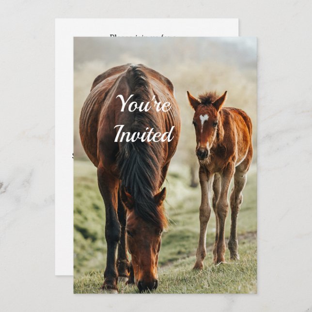 Pretty Horse Foal Photo Birthday Invitation (Front/Back)