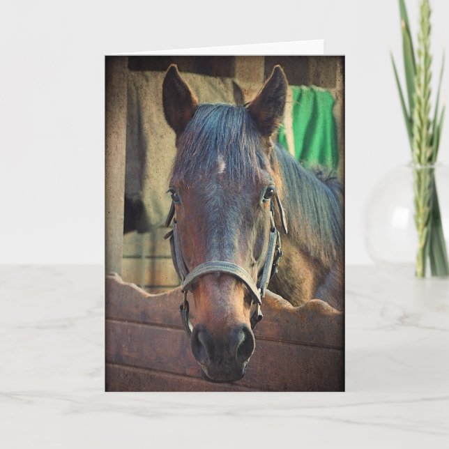 Pretty Horse & Stable Greeting Card (Front)