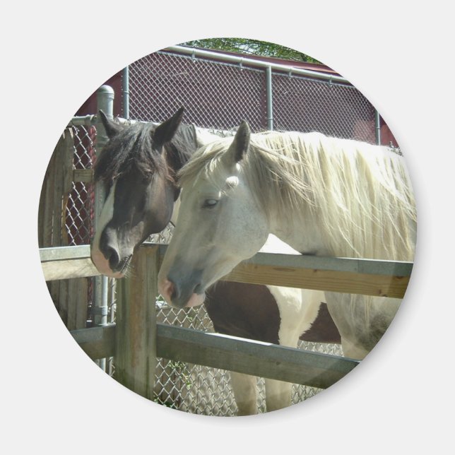 Pretty Horses Magnet (Front)