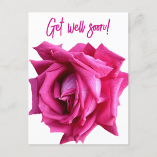 Pretty hot pink rose color floral get well soon postcard