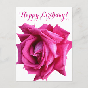 Pretty hot pink rose color floral Happy Birthday  Postcard