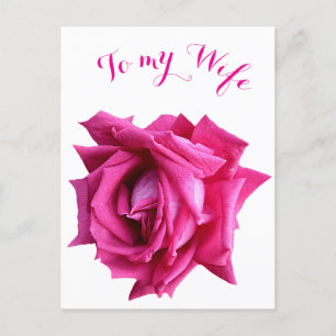 Pretty hot pink rose floral Happy  Valentine love Postcard
