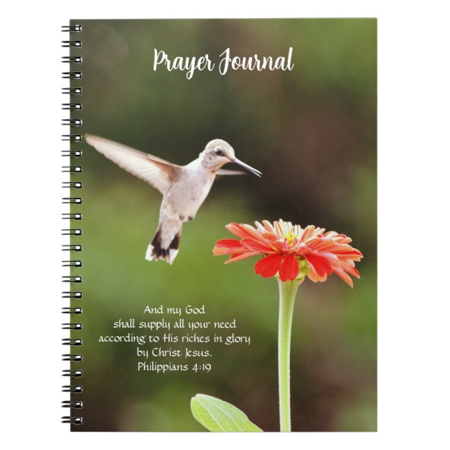 Pretty Hummingbird and Flower Faith Journal (Front)