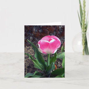 Pretty in Pink..... Card