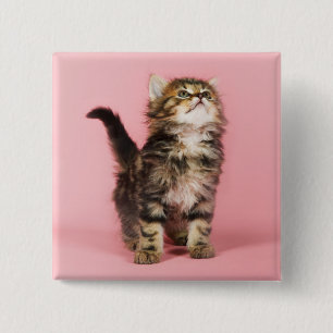 Pretty in Pink Kitten 15 Cm Square Badge