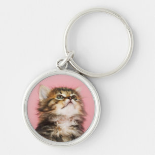 Pretty in Pink Kitten Key Ring