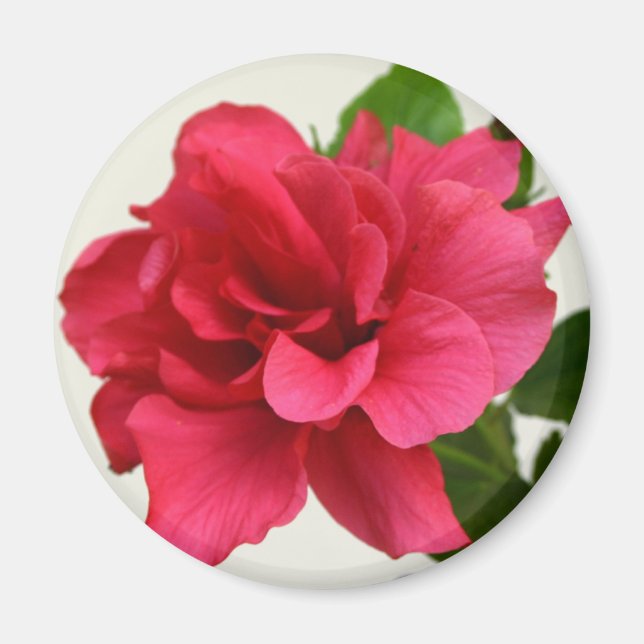 Pretty in Pink - Magnet (Front)