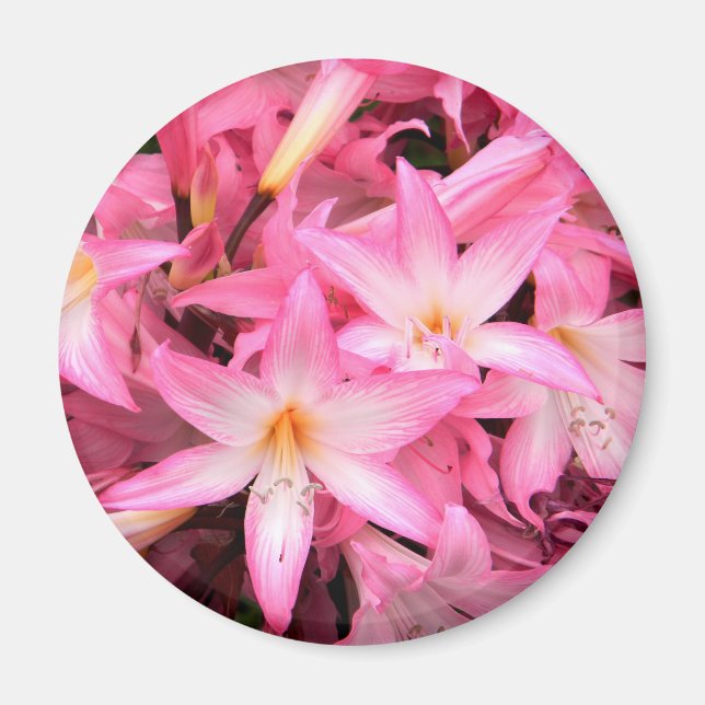 Pretty in Pink... Magnet (Front)