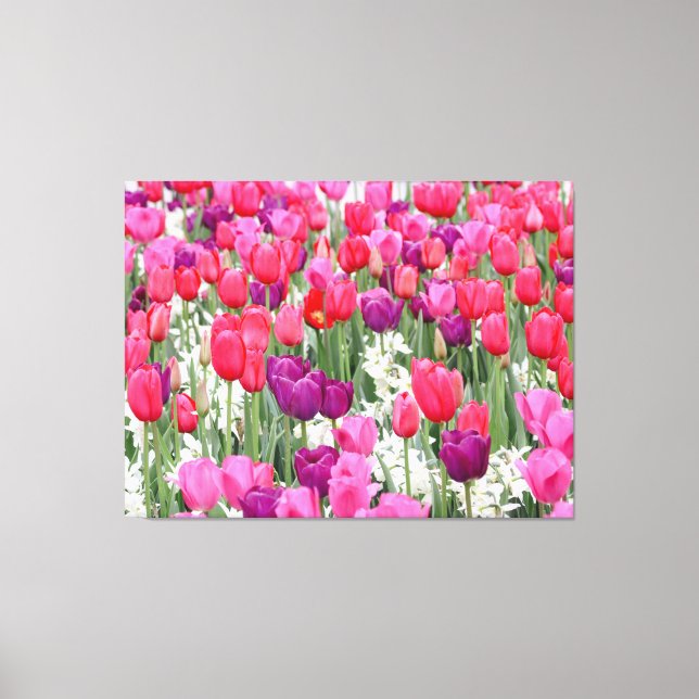 Pretty in Pink Petals  Canvas Print (Front)