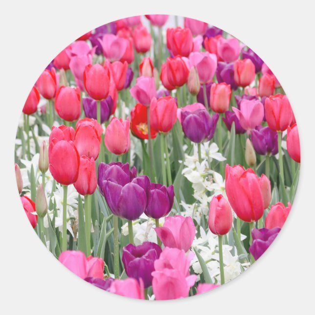 Pretty in Pink Petals  Classic Round Sticker (Front)