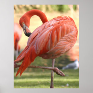 Pretty in pink poster