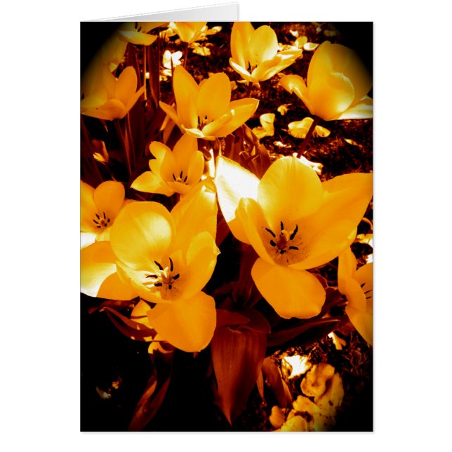 Pretty in Yellow (Front)