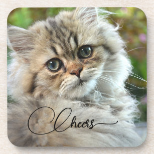 Pretty Kitty Cat Lover Coaster