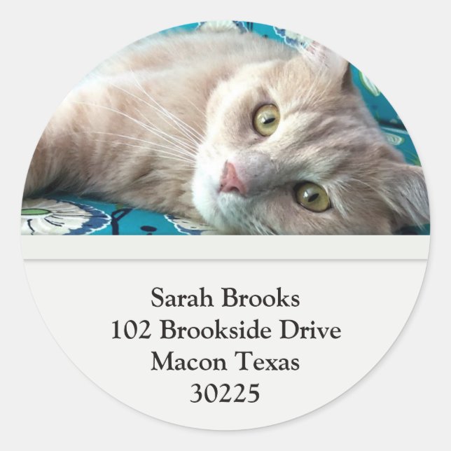 Pretty Kitty Classic Round Sticker (Front)