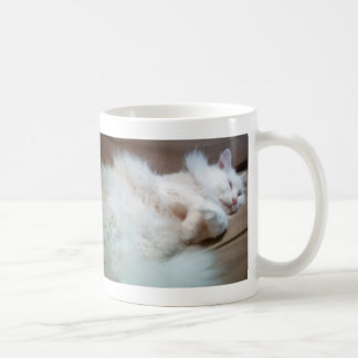 Pretty kitty coffee mug