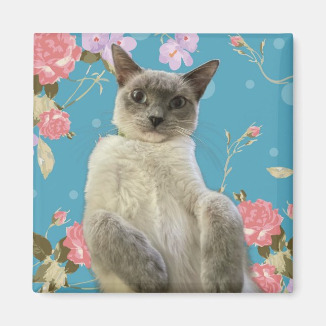 Pretty Kitty Magnet (Front)