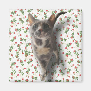 Pretty Kitty Magnet