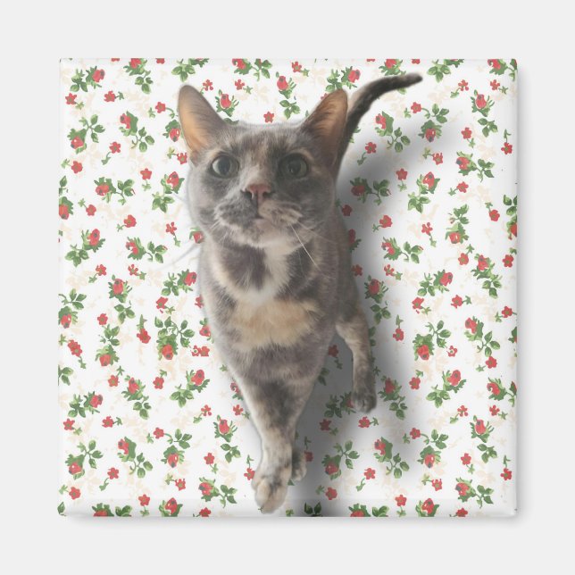 Pretty Kitty Magnet (Front)