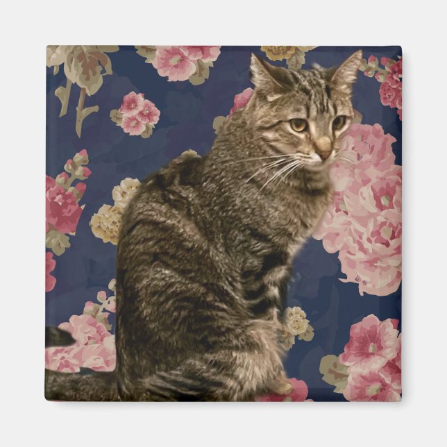 Pretty Kitty Magnet (Front)