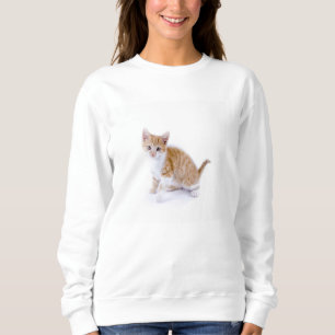 pretty kitty sweatshirt