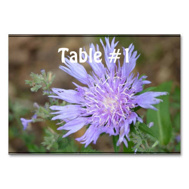 Pretty Lavender Scabiosa Table Number (Front)